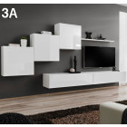 a_3